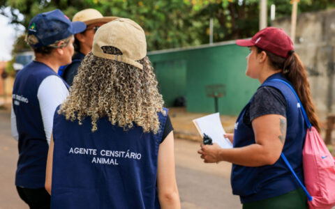 Prefeitura de Palmas realiza levantamento domiciliar para mapear a população de cães e gatos da capital
